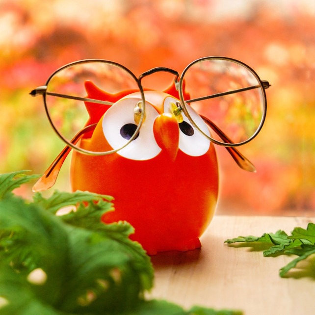 Repose lunettes / porte lunette Original - Owl - PYLONES - Rouge