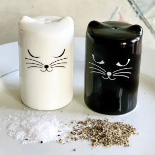 Salt and pepper shaker - Chalt et Cheper