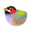 Magnetvogel für Büroklammern - Piu Piu