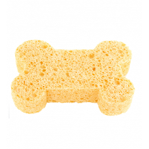 Sponge for Clean