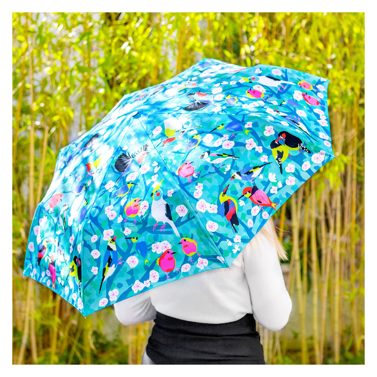 Umbrella Parapli Birds Pylones