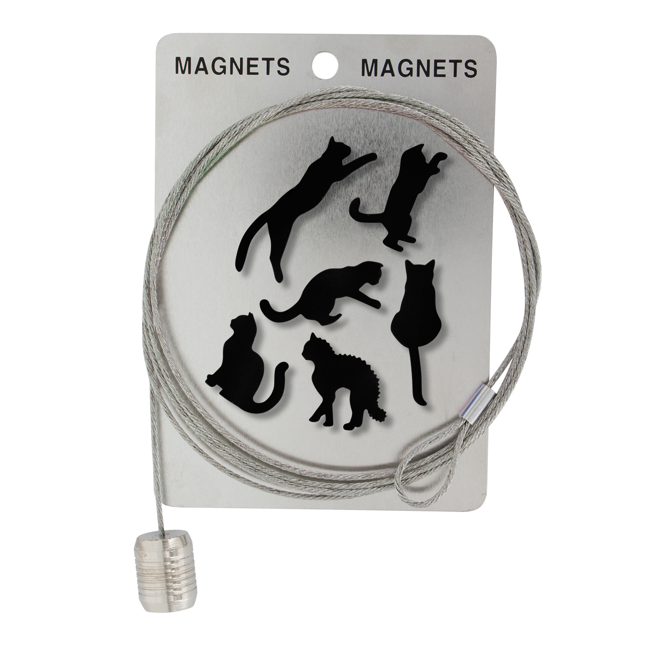 Photo holder cable and magnets - Magnetic Cable - Black Cat - Pylones