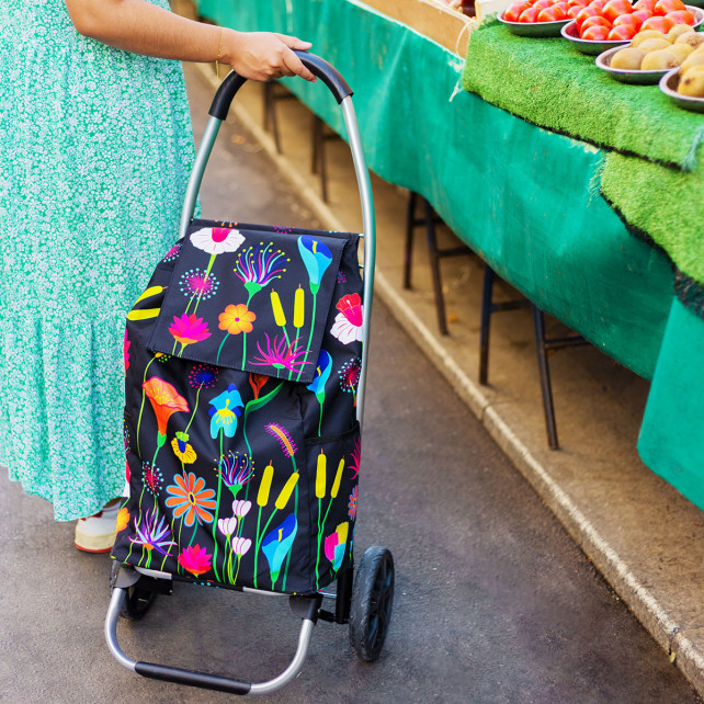 Sac de online course pour chariot