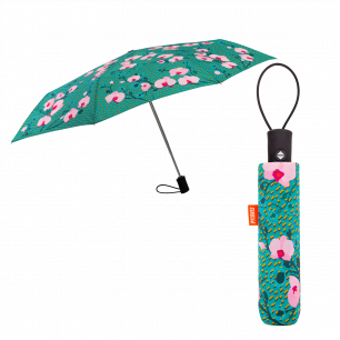 Paraguas - Parapli