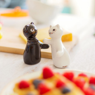 Salt and pepper shaker - Chalt et Cheper