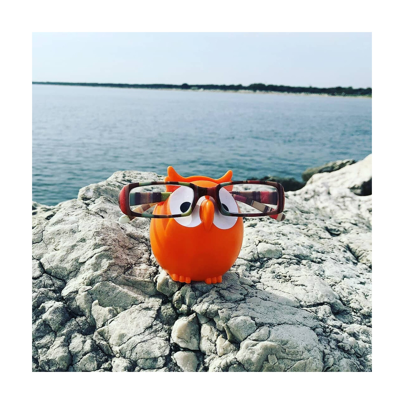 Glasses holder Owl Pylones Orange Pylones