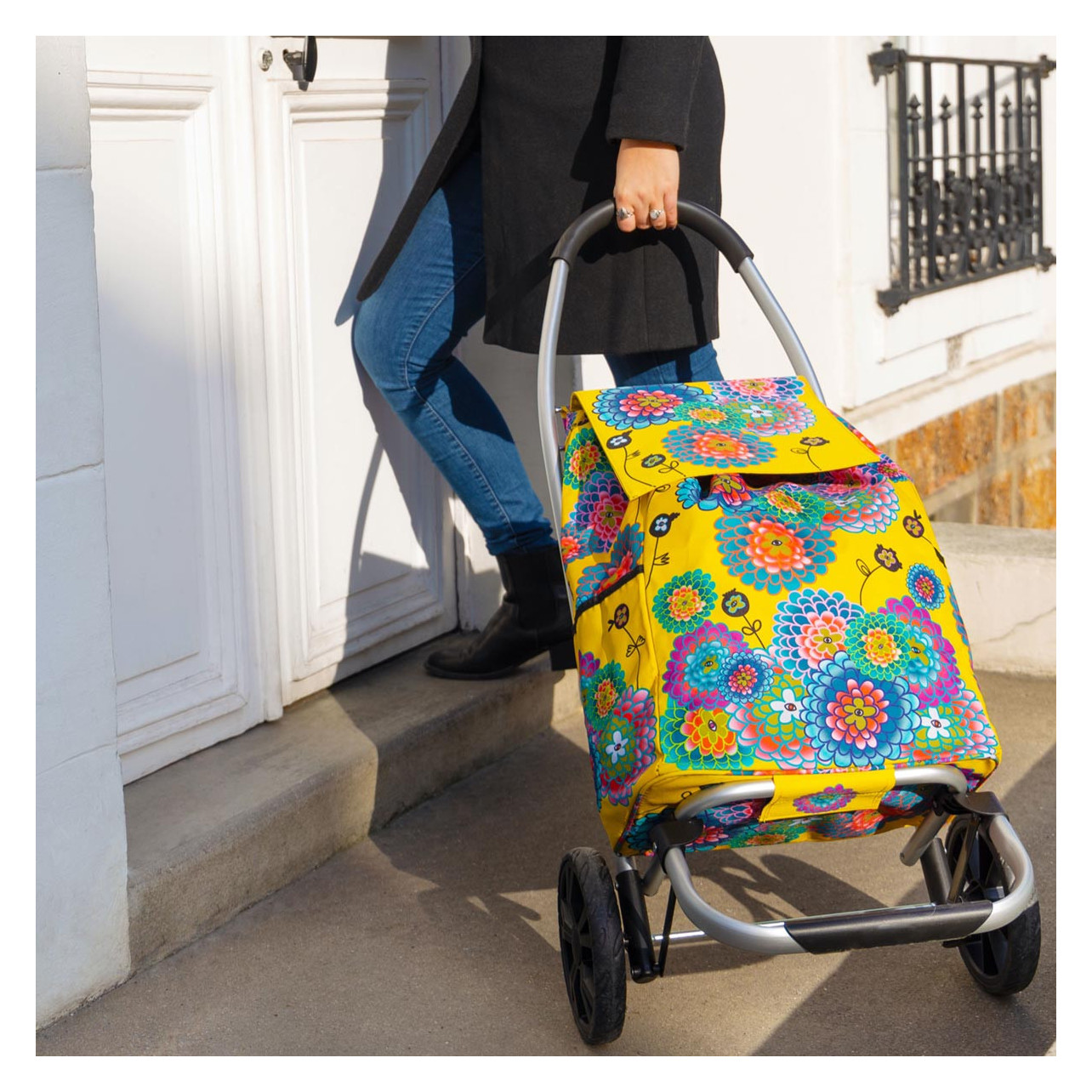 Shopping trolley Trolly Dahlia Pylones