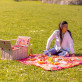 Panier de pique nique  - Déjeuner sur l'herbe