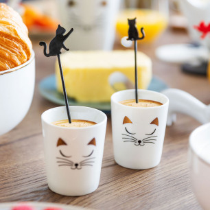 Set of 2 coffee spoons - Catuccino