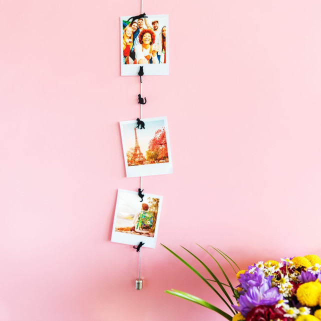 Photo holder cable and magnets Magnetic Cable Black Cat Pylones