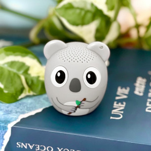 Mini-Lautsprecher Bluetooth - Sing song