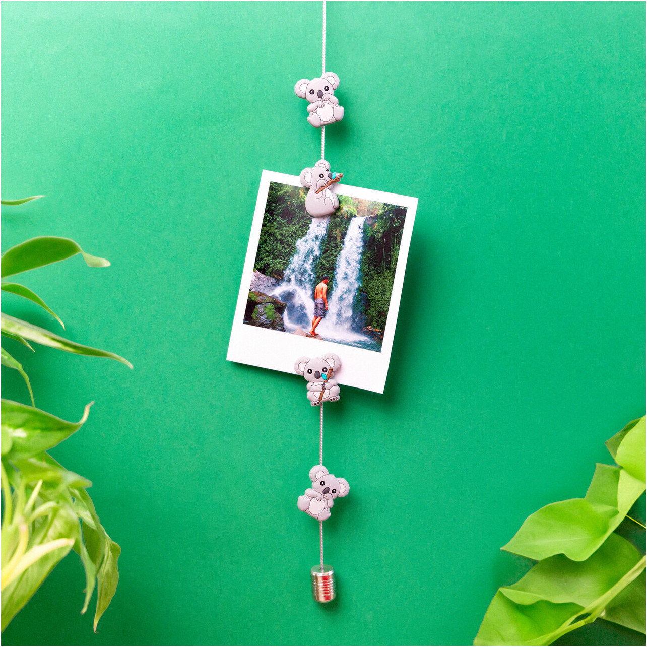 Photo holder cable and magnets - Magnetic Cable - Koala - Pylones
