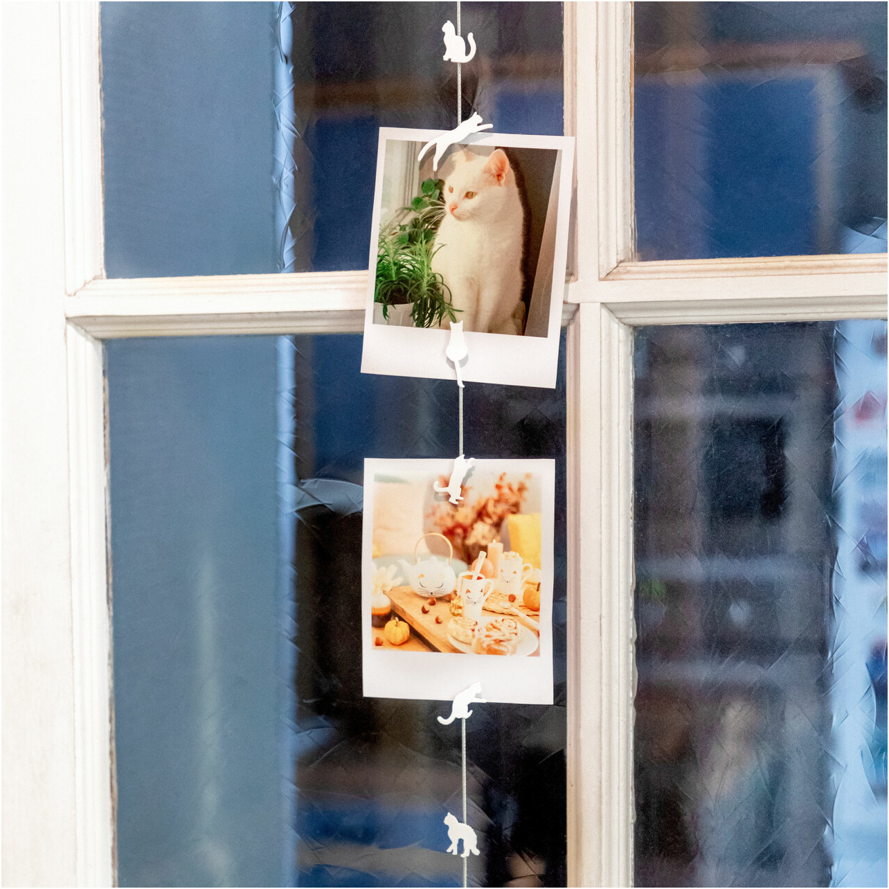 Photo holder cable and magnets - Magnetic Cable - White Cat - Pylones