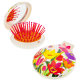 16958 - 2 in 1 hairbrush and mirror - Lady Retro - Tulipes