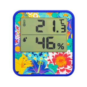 Thermomètre Digital - Cosy