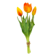 Set of 3 tulips - Tulipes