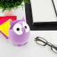 Glasses holder - Owl
