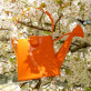 Watering can bag - Garden Party