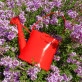 Borsa annaffiatoio - Garden Party
