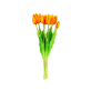 40209 - Set di 7 tulipani aperti - Tulipes - Orange