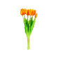 Set di 7 tulipani aperti - Tulipes