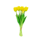 Set of 7 open tulips - Tulipes