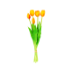 Set of 3 closed tulips - Tulipes