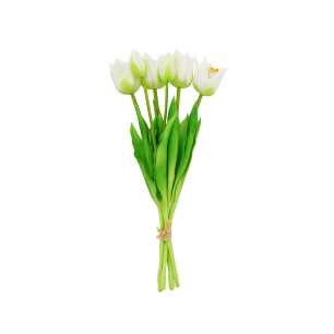 Set of 7 open tulips - Tulipes