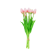 Set di 7 tulipani chiusi - Tulipes