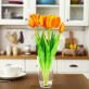 Set di 7 tulipani aperti - Tulipes