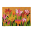 40631 - Felpudo – FlorDanza - Tulipes