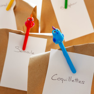 Set of 4 Clips Birds - Perruclip