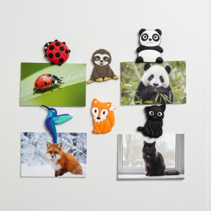 Set of magnets - Magnetic