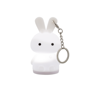 Schlüsselanhänger-Nachtlicht – Pokylight