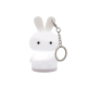 Keychain Night Light – Pokylight