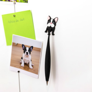 Magnetic pen - Ani-pen