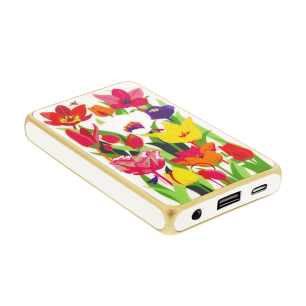 Batteria portatile USB-C 5000mAh - Get The Power 5