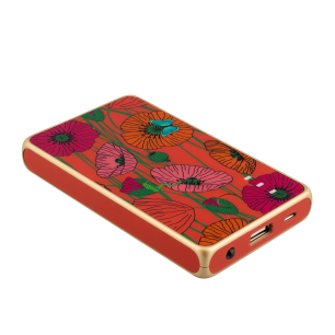 Batteria portatile USB-C 5000mAh - Get The Power 5