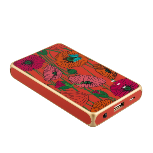 Portable battery USB-C 5000mAh - Get The Power 5