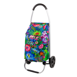 Trolley per la spesa - Trolly