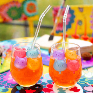 24 Reusable Ice Cubes - Glaçons Chat