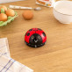 Kitchen timer - On Time
