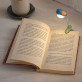 Lampada da lettura LED clip - Birdie