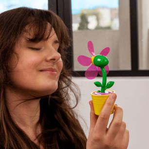 Rechargeable fan - Ventifleur