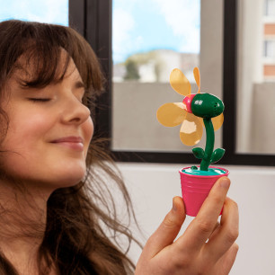 Rechargeable fan - Ventifleur