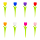 Set of 8 cocktail sticks - Tulipics