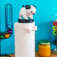 Kitchen roll holder - Clean'up