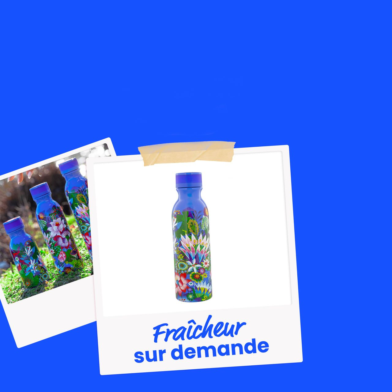 Bouteille isotherme