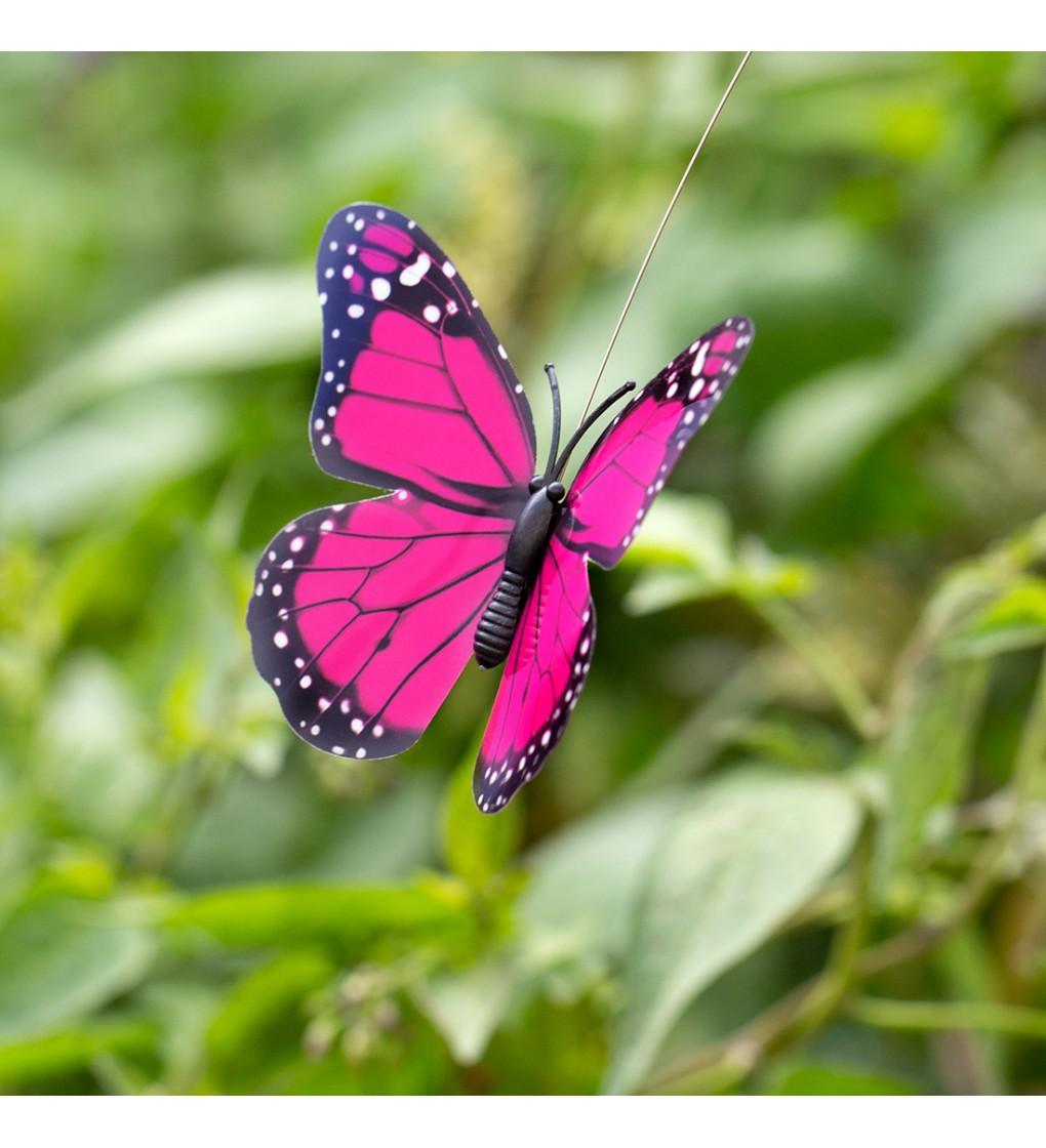Solar butterfly Pylones