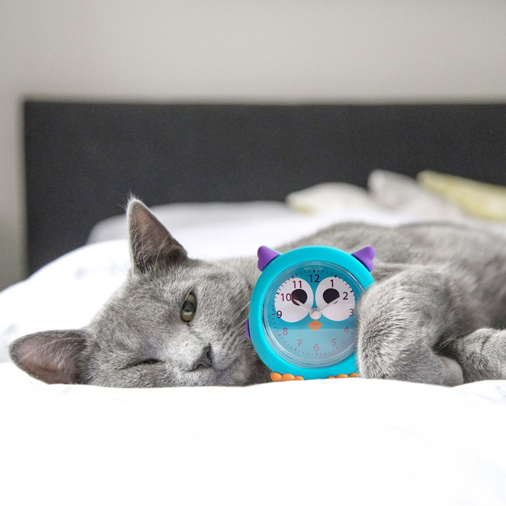 Wecker Funny Clock Katze Pylones